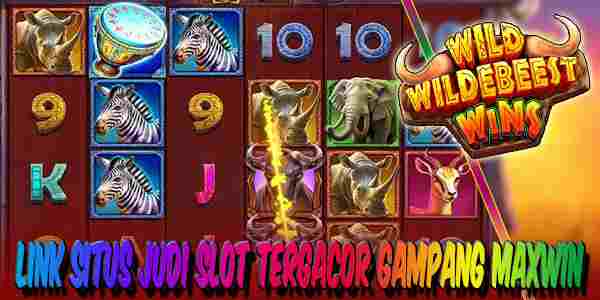 Link Situs Judi Slot Tergacor dan Terpercaya Gampang Maxwin Wild Wildebeest Wins